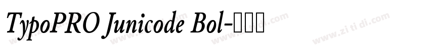 TypoPRO Junicode Bol字体转换